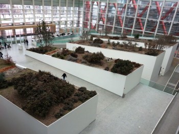 Interior del museo de la Evolución Humana Interior del museo de la Evolución Humana